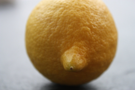 Sweet Lemon