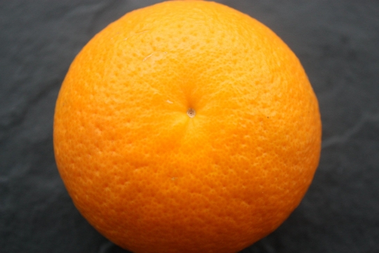 Moro Orange